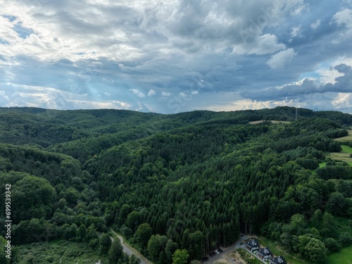 Obszary leśne, zielony las pośród wzgórz i dolin, świeże powietrze gdzie drzewa najlepiej dotleniają człowieka.  photo