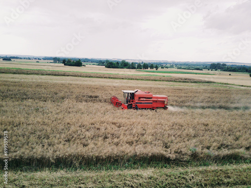 Kombajn, koszenie zbóż, żniwa, zbiór ziarna. 