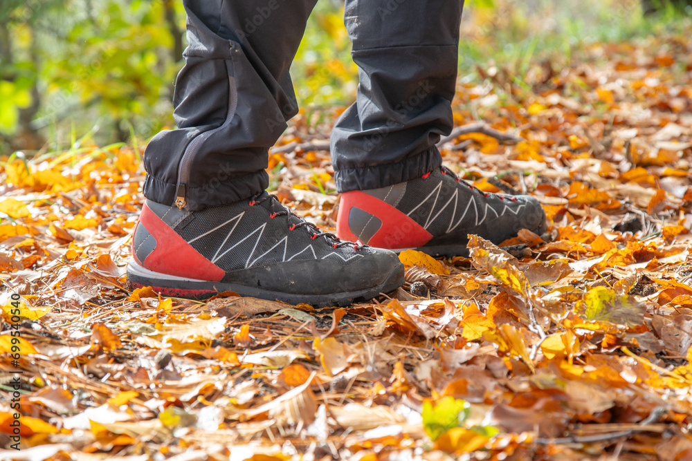 Hiking boot. Legs on mountain trail during trekking in forest