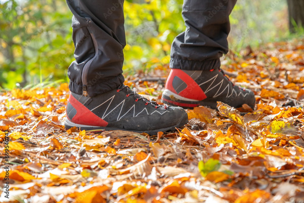 Hiking boot. Legs on mountain trail during trekking in forest
