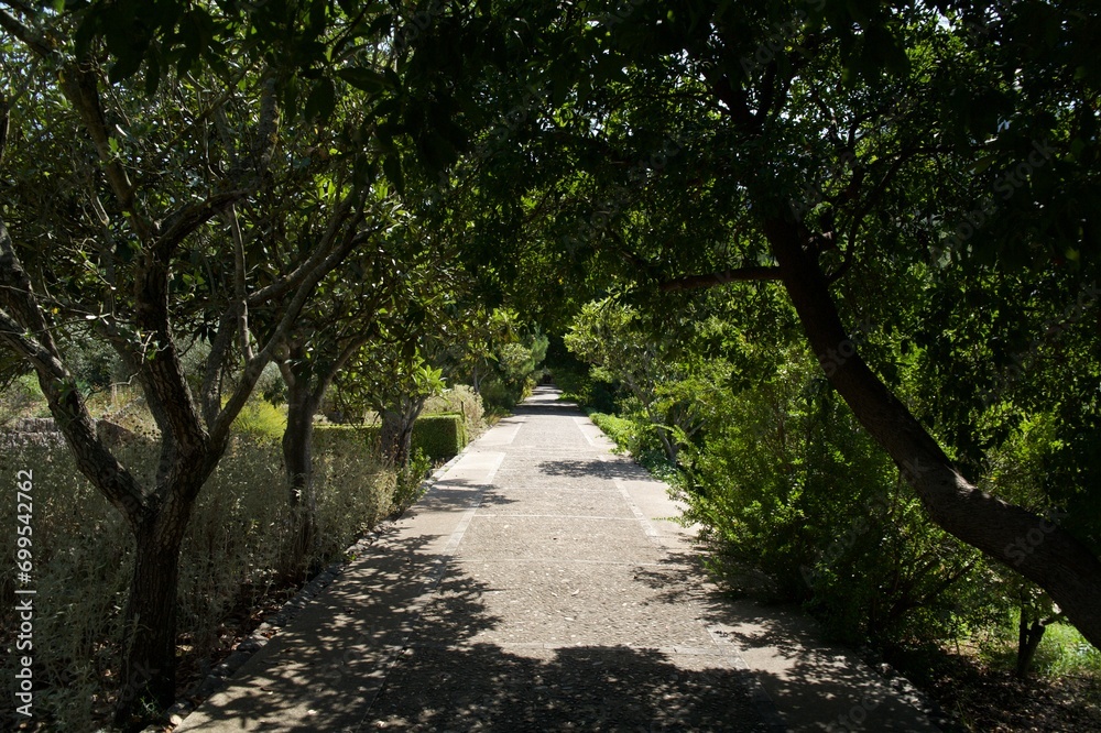 path in the park