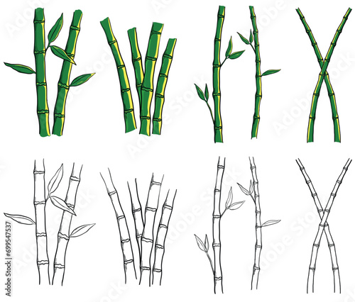 Set of bamboo illustration drawing. Bamboo tree line art  © bayurey