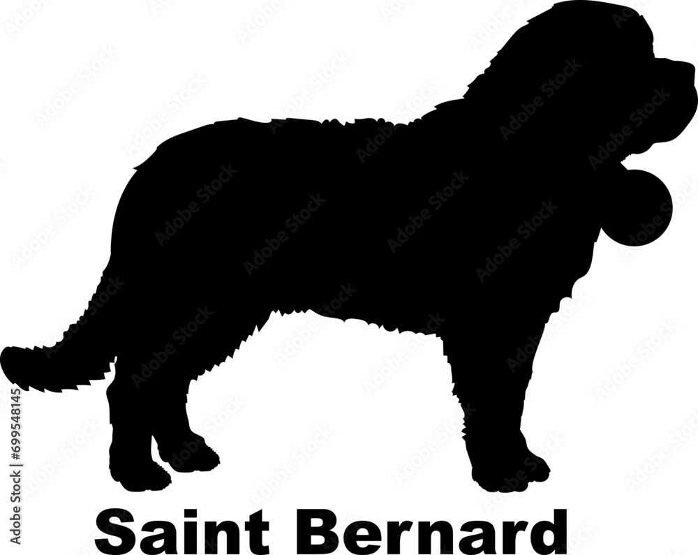 Dog Saint Bernard silhouette Breeds Bundle Dogs on the move. Dogs in different poses.
The dog jumps, the dog runs. The dog is sitting. The dog is lying down. The dog is playing
