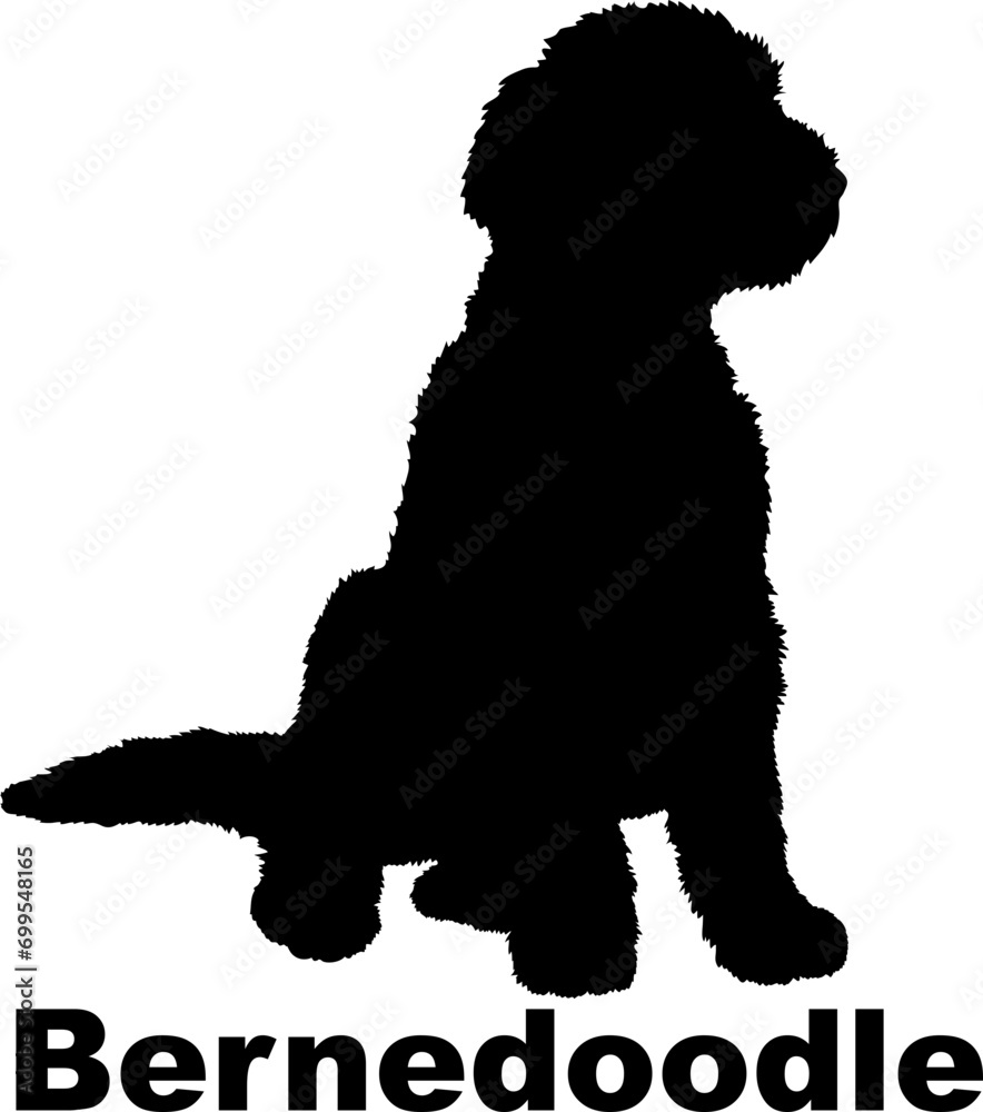 Dog Bernedoodle silhouette Breeds Bundle Dogs on the move. Dogs in different poses.
The dog jumps, the dog runs. The dog is sitting. The dog is lying down. The dog is playing
Dog Bernedoodle silhouette Breeds Bundle Dogs on the move. Dogs in different poses.
The dog jumps, the dog runs. The dog is sitting. The dog is lying down. The dog is playing