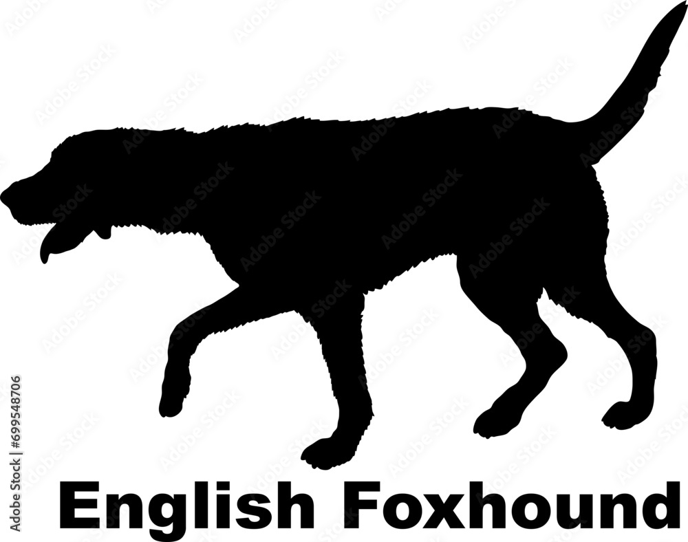 Dog English Foxhound silhouette Breeds Bundle Dogs on the move. Dogs in different poses.
The dog jumps, the dog runs. The dog is sitting. The dog is lying down. The dog is playing

