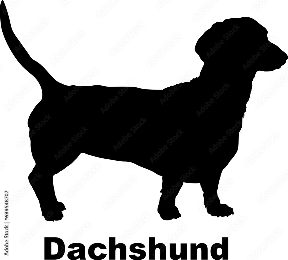 Dog Dachshund silhouette Breeds Bundle Dogs on the move. Dogs in different poses.
The dog jumps, the dog runs. The dog is sitting. The dog is lying down. The dog is playing
