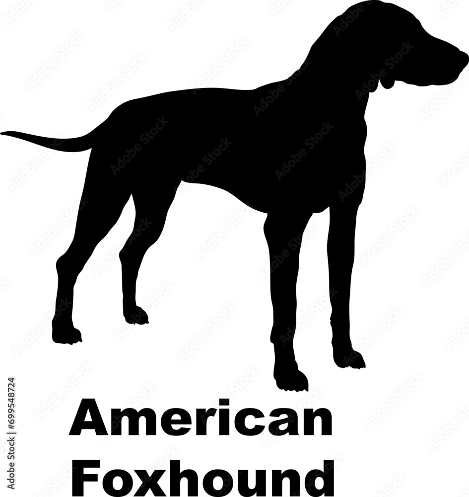 Dog American Foxhound silhouette Breeds Bundle Dogs on the move. Dogs in different poses.
The dog jumps, the dog runs. The dog is sitting. The dog is lying down. The dog is playing
