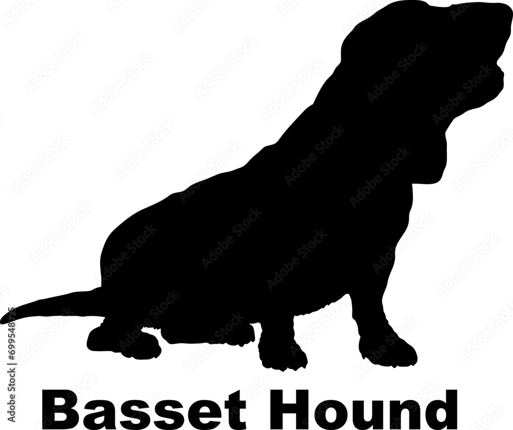 Dog Basset Hound silhouette Breeds Bundle Dogs on the move. Dogs in different poses.
The dog jumps, the dog runs. The dog is sitting. The dog is lying down. The dog is playing
