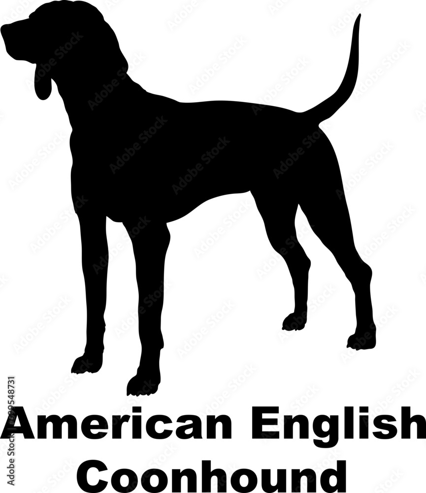 Dog American English Coonhound silhouette Breeds Bundle Dogs on the move. Dogs in different poses.
The dog jumps, the dog runs. The dog is sitting. The dog is lying down. The dog is playing
