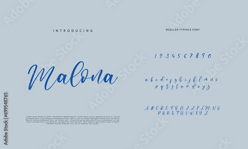 Signature Font Calligraphy Logotype Script Brush Font Type Font lettering handwritten 