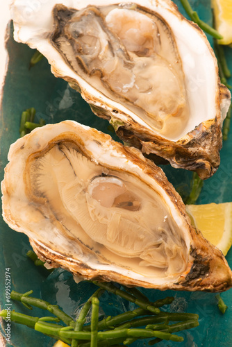 Fresh oyster with Marsh Samphire photo