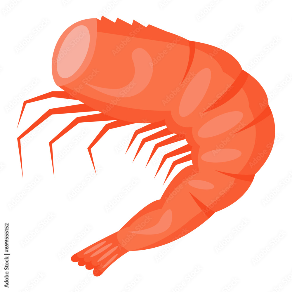 Obraz premium Cooked shrimp without head. Vector illustration.