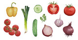 Watercolor food illustrations set. Mediterranean vegetables set. Leeks, tomato, cucumber, parsley, onion, garlic, bell pepper