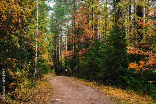 hiking trail in the autumn colorful forest