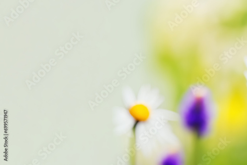 spring flowers on a green background