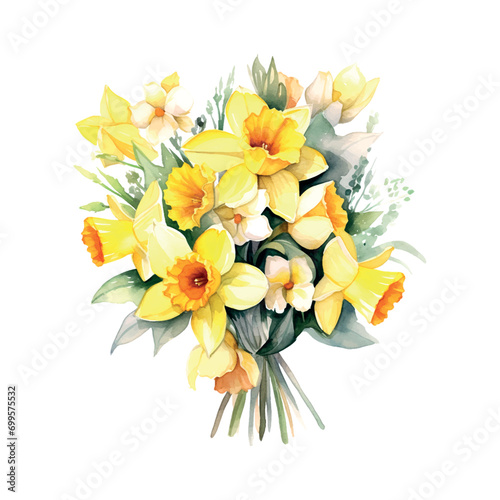 blossom  narcissus watercolor vector floral  bouquet