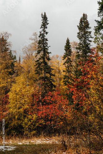 autumn yellow forest in the mountains of the Urals