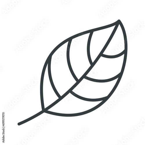 Leaf icon vector on trendy design