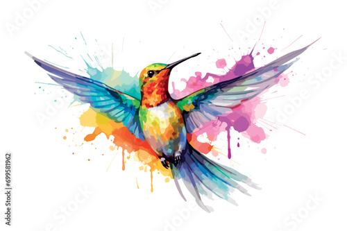beautiful colorful colibri bird watercolor desing vector illustration