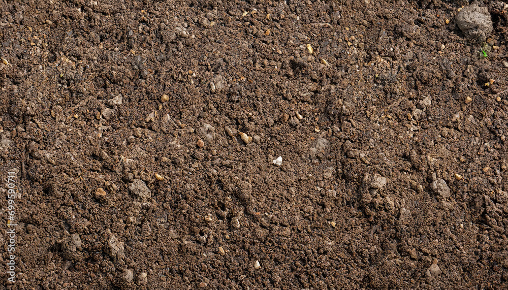 Soil texture background.