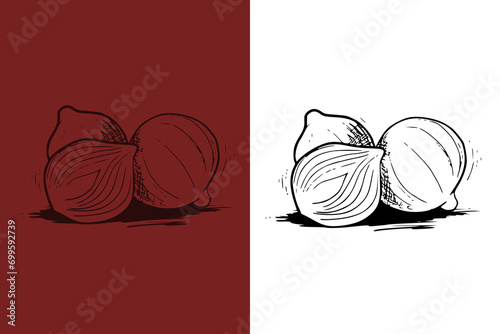 Bombay onion hand drawn illustration