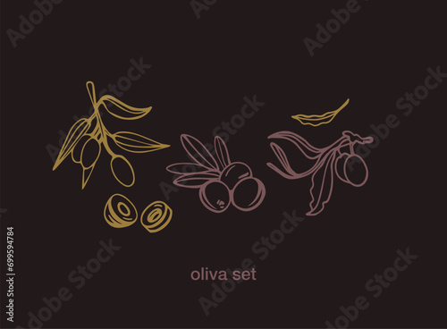Black olive sketch element collection  olive branches isolated on a green background  leaves  olives  vector hand drawn set.