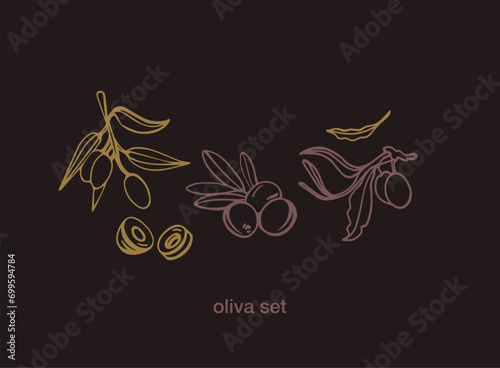 Black olive sketch element collection, olive branches isolated on a green background, leaves, olives, vector hand drawn set.