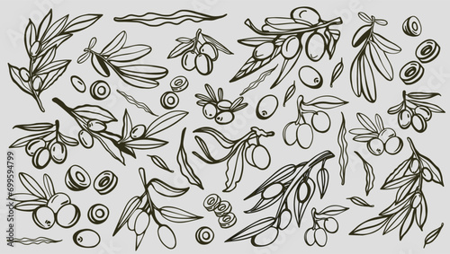 Black olive sketch element collection, olive branches isolated on a green background, leaves, olives, vector hand drawn set.