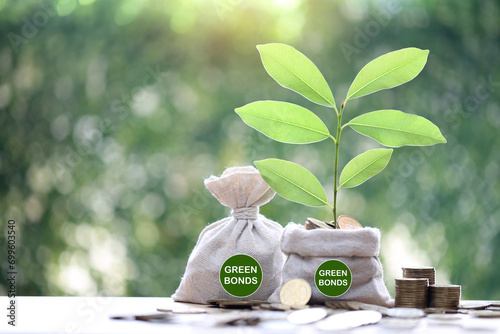 Green bonds,Trees growing on coins money in a bag with green bonds word on natural green background, investment and business concept photo