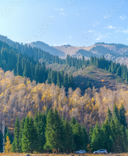 Admire the breathtaking panorama of Tien Shan firs and birches growing among majestic mountains, creating picturesque landscapes that are both awe-inspiring and refreshing to the soul Nature Elevation © Alexandr