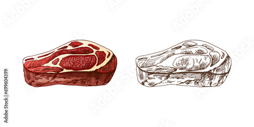 Organic food. Hand drawn colored and monochrome vector sketch of beef steak, piece of meat. Doodle vintage illustration. Decorations for the menu of cafes. Engraved image.