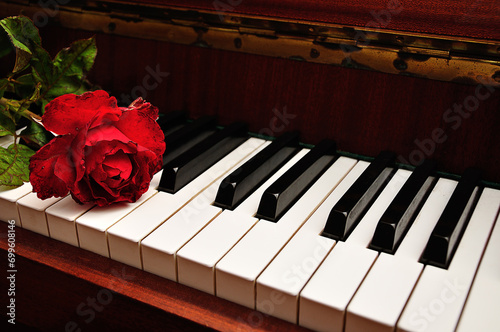 A single red rose displayed on piano keys