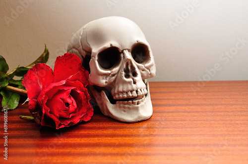 A skeleton displayed with a single red rose