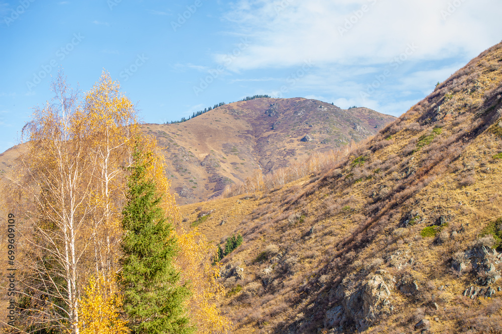 Experience the beauty of the Tien Shan spruce forests. Discover vibrant autumn colors in the wild. Walk through the majestic mountains and immerse yourself in the charm of nature.