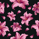 seamless pattern of pink summer lily buds and lily petals for packaging or textile use, on black background