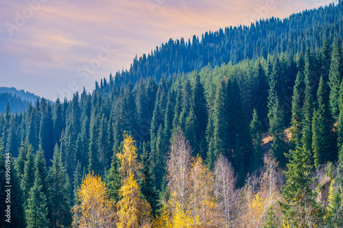 Experience the breathtaking beauty of the Tien Shan in autumn. Witness the vibrant leaves and green pine trees all around you. Immerse yourself in the stunning colors of nature at this time of year.
