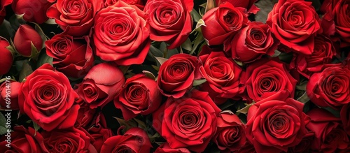 Natural and fresh red roses flowers pattern wallpaper background