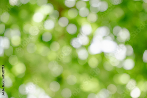 Bokeh from trees and nature or images that represent the eyes of people with nearsightedness who are unable to see clearly.