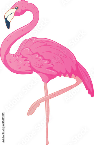 Flamingo bird cute illustration vector