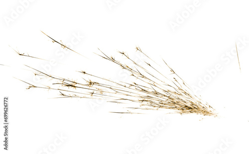 sparks isolated on white background