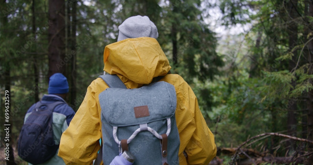 Following shot of diverse tourists with backpacks and trekking poles walking along trail in beautiful forest. Outdoor enthusiasts during trek or expedition in mountains. Nature discovery. Slow motion.