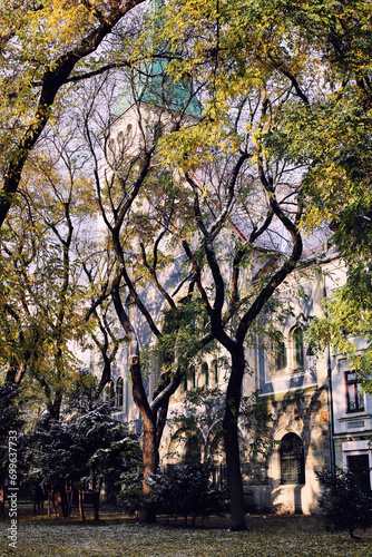 Photography Snowy Autumn scene in the church park in the city of Bratislava