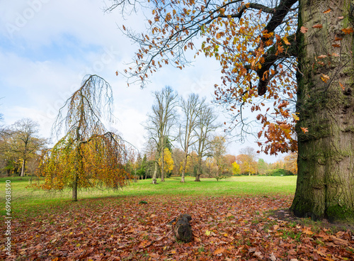 trees with colorful autumn colors in dutch park near utrecht in holland