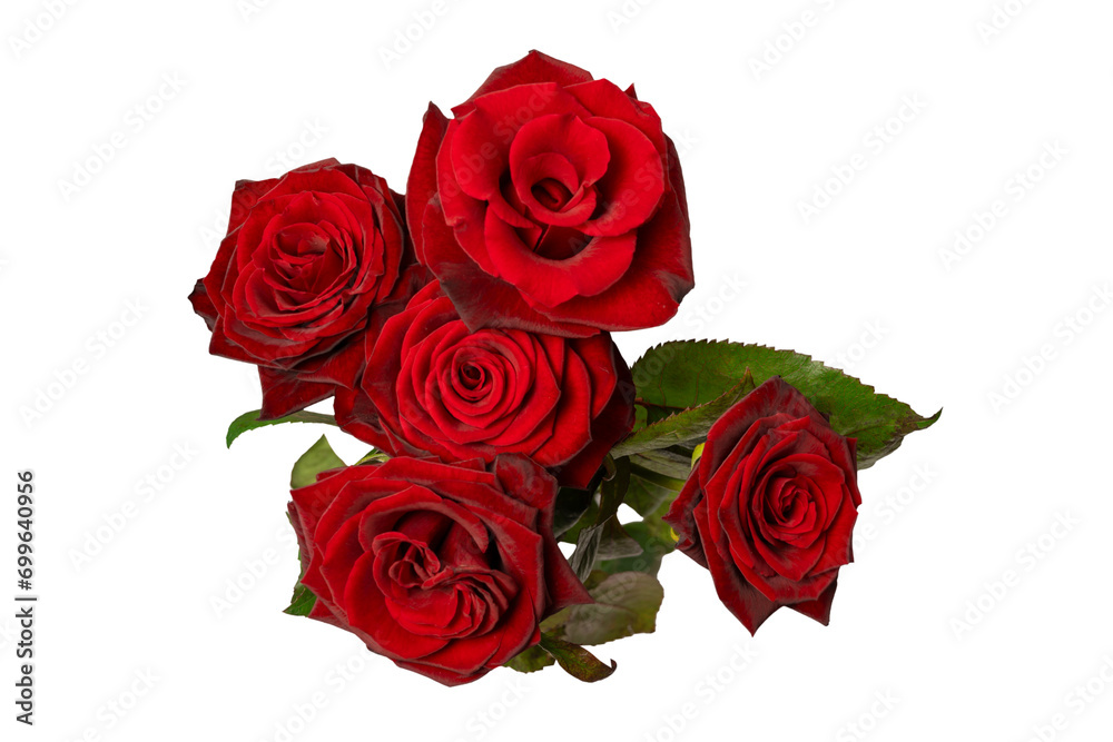 Obraz premium A bouquet of beautiful red roses isolated on a white background.