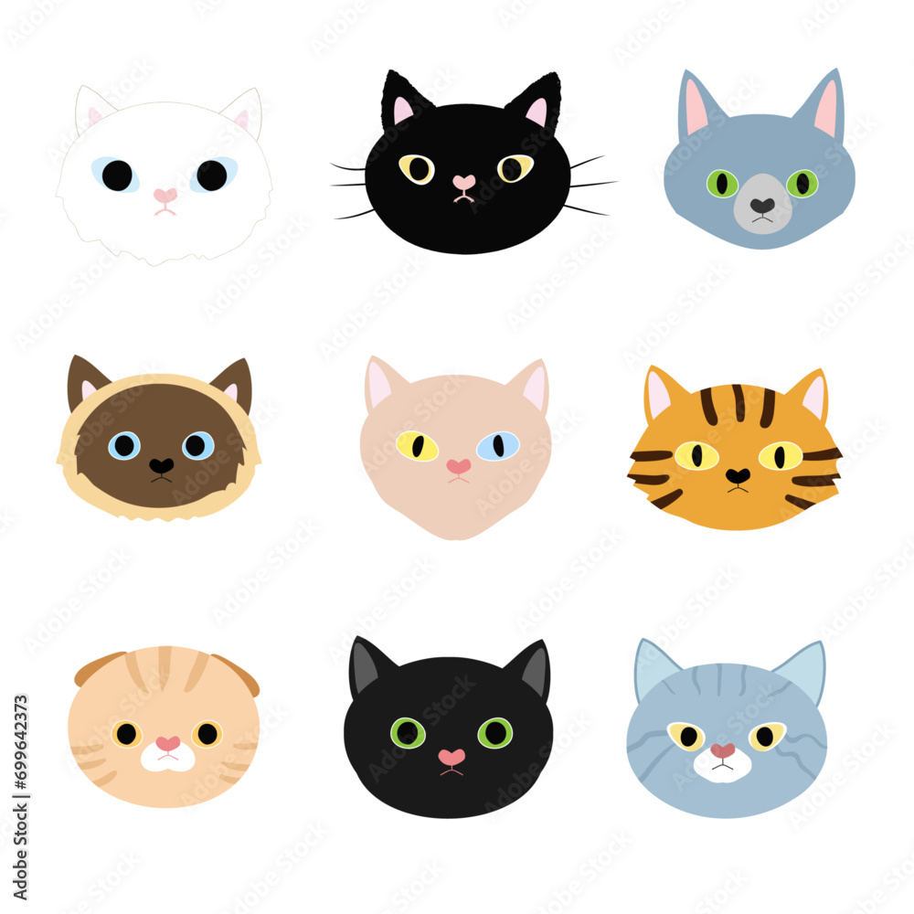 set of cats Vector illustration of different cats Funny cats    head vector set 