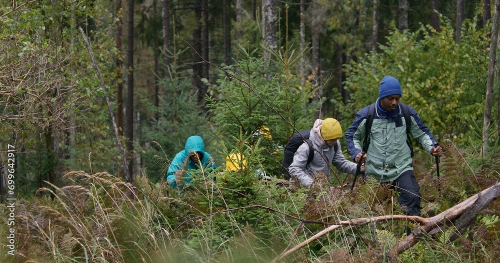 Young diverse group of tourists with backpacks and trekking poles walk in beautiful forest. Hiking buddies during trek or expedition in mountains. Concept of nature discovery and tourism. Slow motion. Young diverse group of tourists with backpacks and trekking poles walk in beautiful forest. Hiking buddies during trek or expedition in mountains. Concept of nature discovery and tourism. Slow motion.
