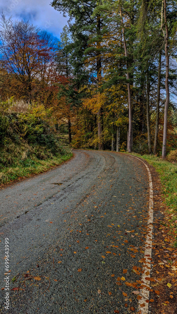 Enchanting Views of Lake Vyrnwy - Welsh Natural Splendor Enchanting Views of Lake Vyrnwy - Welsh Natural Splendor