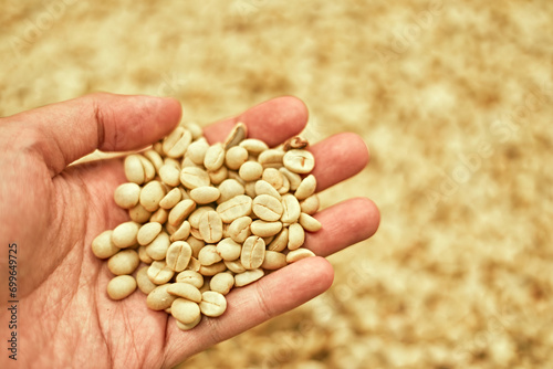Farmer showing picked coffee beans in his hands