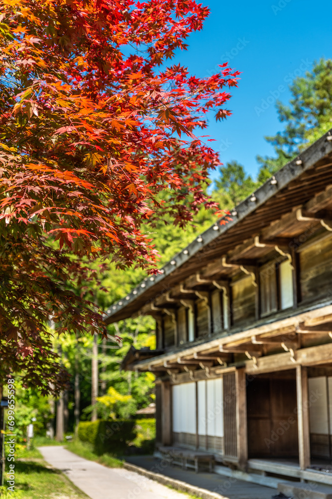 Japanese house with red maple