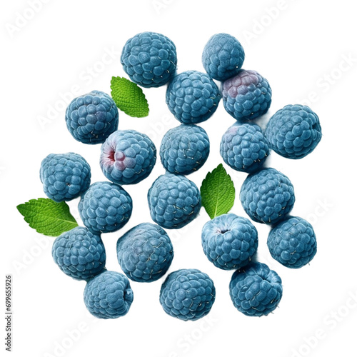 blue raspberries isolated on white background. 